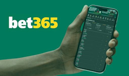 bet365 company overview